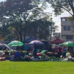 Plaza de Mercado Villas de Granada 2